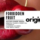 Packaging of Forbidden Fruit strain seeds with fruity genetics