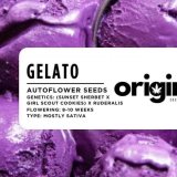 Gelato Autoflower strain seeds packaging with a fruity, sweet, and kush-like aroma
