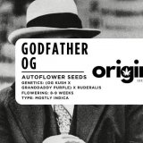 Packaging of Godfather OG strain seeds with premium Indica genetics
