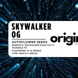 Skywalker OG autoflower seeds in branded packaging