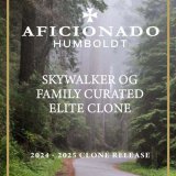 Skywalker OG (HPRC Cut) cannabis clone showcasing dense buds with a classic gassy aroma.