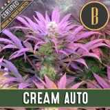 CREAMAUTOMATICPLANT-1.webp
