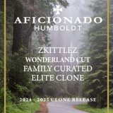 Zkittlez cannabis clone featuring dense, resin-rich buds and bold fruity terpenes.