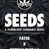 fatso x gorilla glue #4 seeds