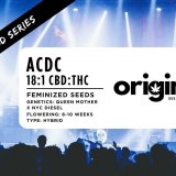 Fem - ACDC - CBD Series FRONT