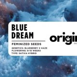 Blue Dream strain packaging showcasing dense, resinous buds with berry and mango aroma.