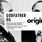 Godfather OG packaging showcasing dense, trichome-rich buds and complex aroma.