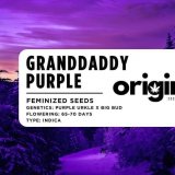 Granddaddy Purple strain packaging featuring deep purple buds and berry aromas.