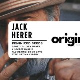 Jack Herer strain packaging featuring sweet, tropical flavors and resin-rich buds.