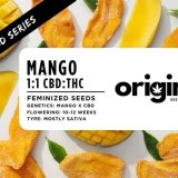 Fem - Mango - CBD Series FRONT
