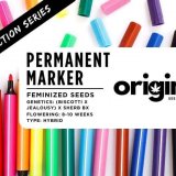 Fem - Permanent Marker - Extraction Series FRONT