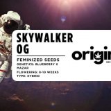 Fem - Skywalker OG FRONT