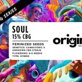 Fem - Soul - CBG Series FRONT