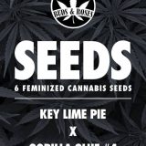 Key Lime Pie x gorilla glue front