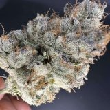 Mochi Melon #4 cannabis clone with dense resin-rich buds and fruity, candy-like terpenes.