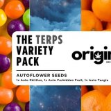 Terps Variety Pack - FRONT