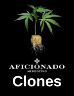 aficionado clones image