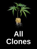 all clones image
