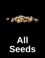 all seeds image