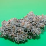 coolio-resize-for-website-scaled-1.jpg