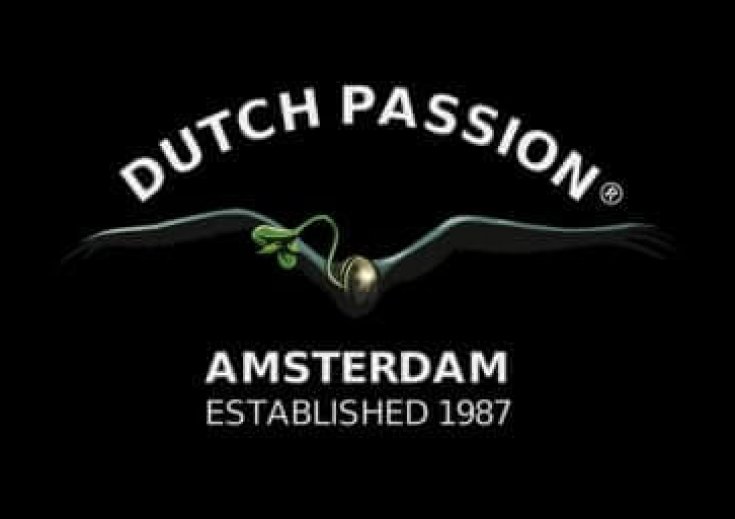 dutch passion header
