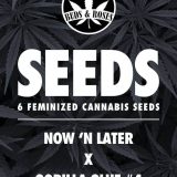 now n later x gorilla glue front